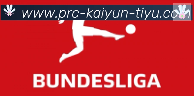 ky开云合作伙伴